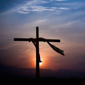 Meet your Posher, Saskiah